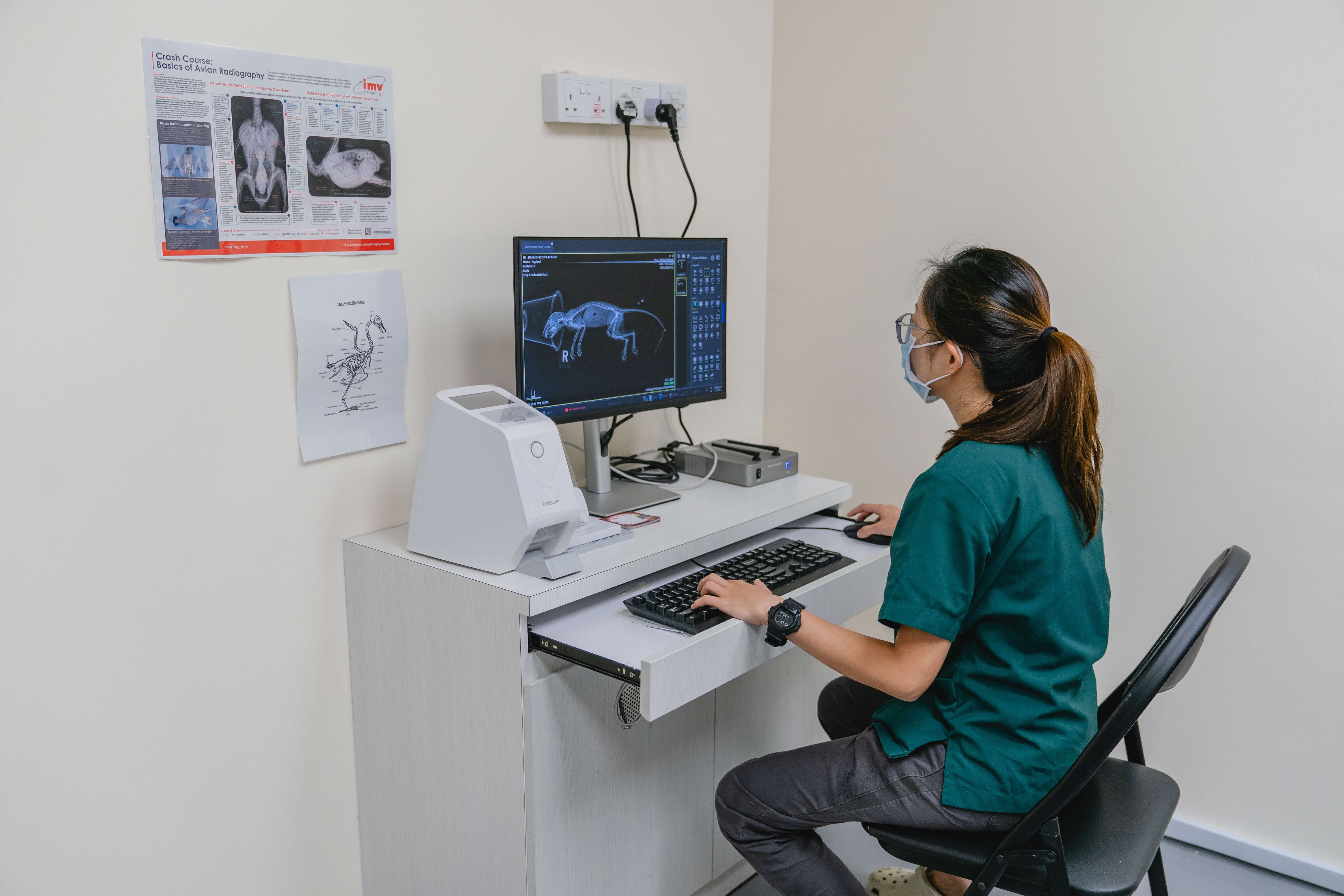 A photograph of staff examining an animal's x-ray at a computer
